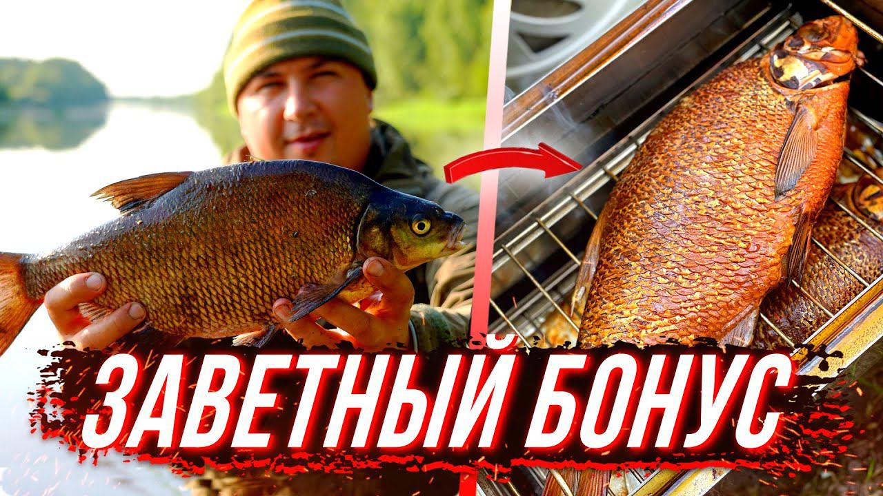 ЖДАЛИ ВСЮ НОЧЬ И ОН ПРИШЕЛ! ЗДОРОВЫЙ ЛЕЩ НА ФИДЕР! Рыбалка в Глухом Месте На Реке! смотреть онлайн