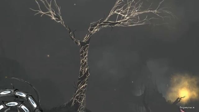 Обзор Тургор