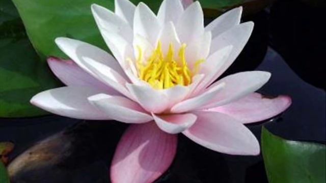 красная книга смотреть онлайн