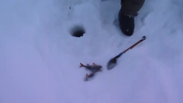 рыбалка на озере в глухозимье.MOV смотреть онлайн