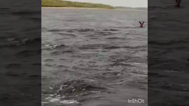 Охота и рыбалка в Якутии, Кобяйский район смотреть онлайн