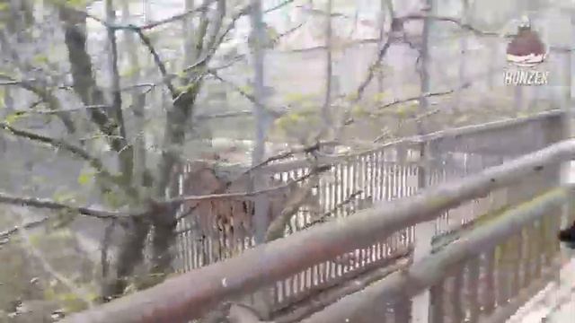 Зоопарк Мариуполь..... смотреть онлайн