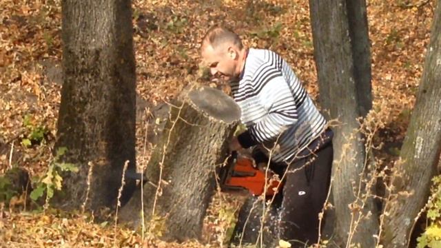 О нет!Русские хакеры начали пилить дерево!(пенёк) смотреть онлайн
