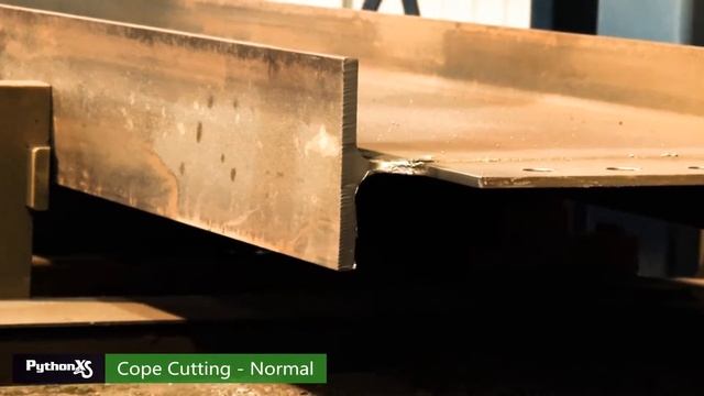 Copes Normal - PythonX Video смотреть онлайн