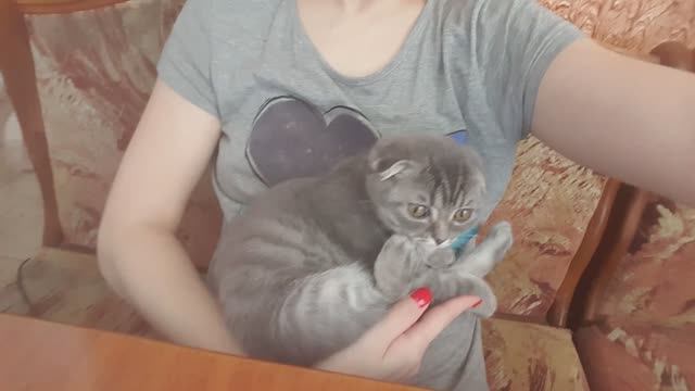 Сима 3 мес смотреть онлайн