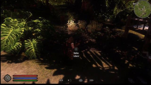 Skyrim SE - Tropical Skyrim
