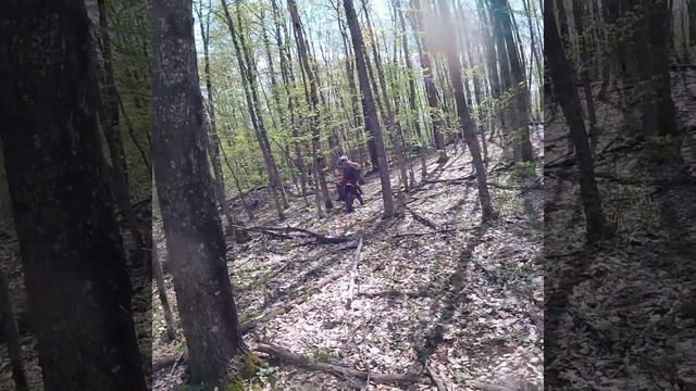 22 апреля 2017 г. смотреть онлайн