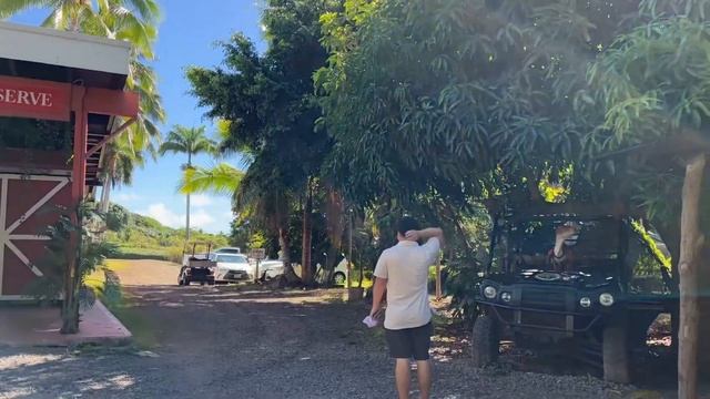 Khám Phá Hawaii | Oahu Unveiled: Our Ultimate Hawaiian Escape ?? #hawaii #honolulu #oahu #waikiki смотреть онлайн