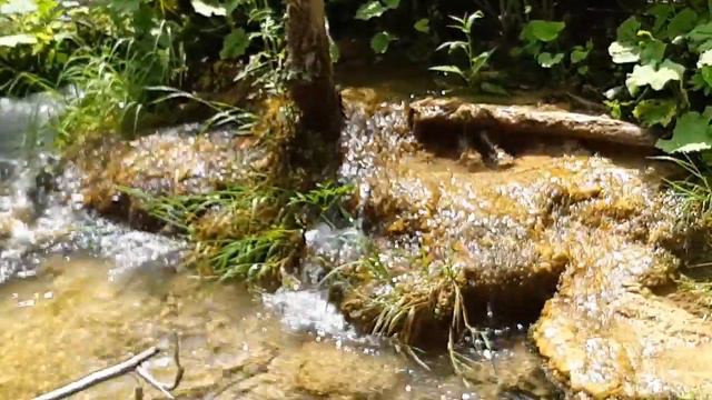 20190622 124102 #БольшойАдриатическийКрюк.Хорватия ,Plitvice Lakes National Park смотреть онлайн