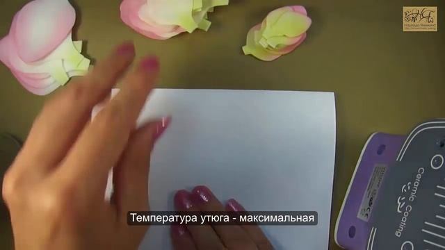Гладиолус (часть 1) с гофрированным краем из фоамирана мастер-класс / Gladiolus | foam flowers | DI смотреть онлайн