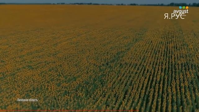 Началось. В России стартовал крупнейший технопроект смотреть онлайн