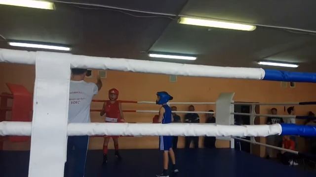 Сафронов Даниил, спаринги 2019 смотреть онлайн