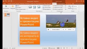 Как вставить видео из компьютера и из интернета в презентацию PowerPoint