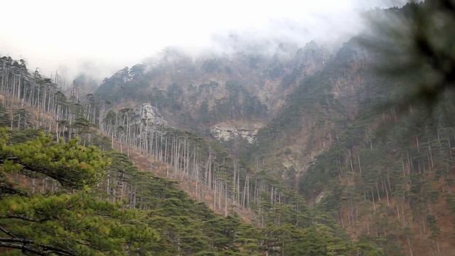 Поход на речку Люка смотреть онлайн