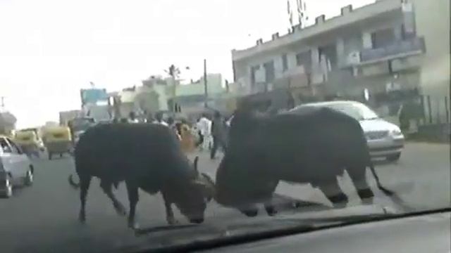 Дорожное движение в Индии by temple-project.info смотреть онлайн