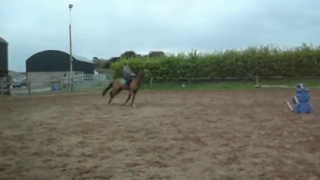 horses 252 смотреть онлайн