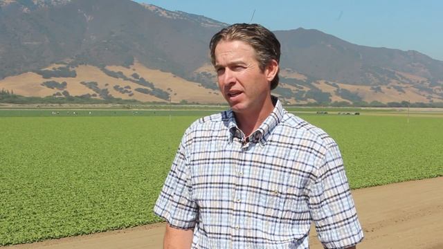 Food Safety Q&A: Three Questions For Jamie Strachan смотреть онлайн