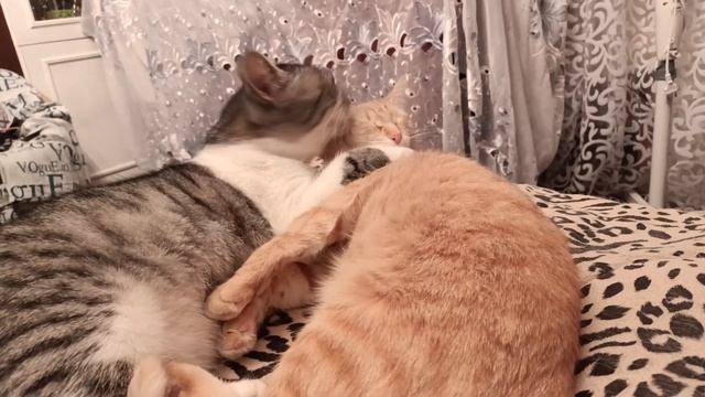 Любимое место в доме - мамина кровать) смотреть онлайн