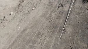 РЕДИС ПОСЕВ В ОТКРЫТЫЙ ГРУНТ В МАРТЕ.