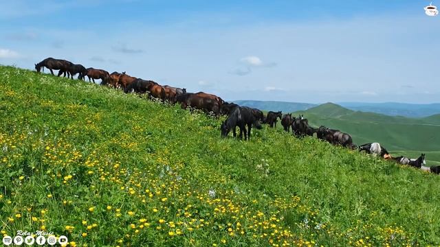 Красивая музыка ? Сборник лучших мелодий,от которых мурашки по телу? лечит душу и полезно для сердц смотреть онлайн