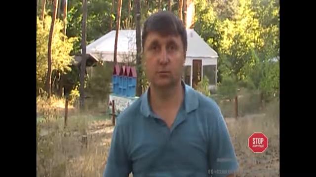 веревочный парк Стрекоза смотреть онлайн