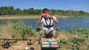 ВСТАЛИ ПРЯМО НА САЗАНЬЕЙ ТРОПЕ! Ловля сазана на Ахтубе! Рекорд побит!