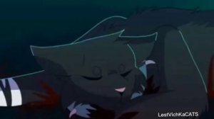 Бич, клип:Я словно монстр.Коты-воители.