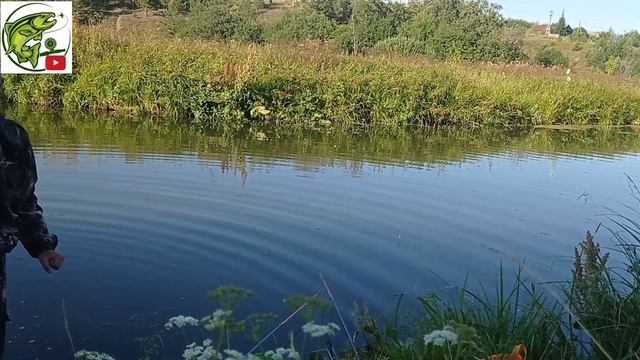 РЫБАЛКА НА РЕКЕ БОБРОВКА (РЫБАЛКА! ] смотреть онлайн