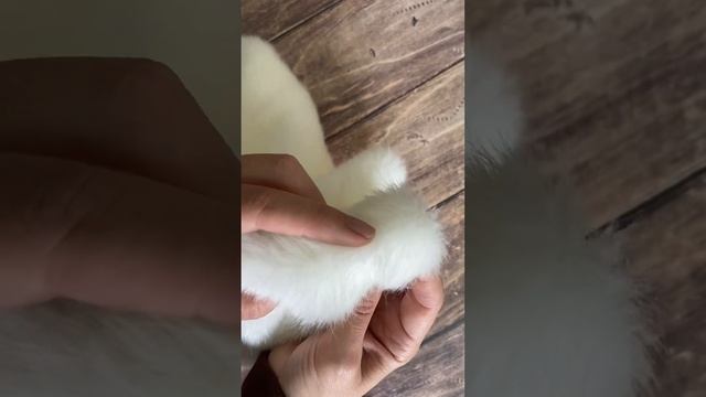 Искусственный мех под норку «Сливочный крем» смотреть онлайн