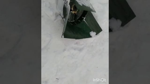 ?снегоуборщик из бензокосы? смотреть онлайн