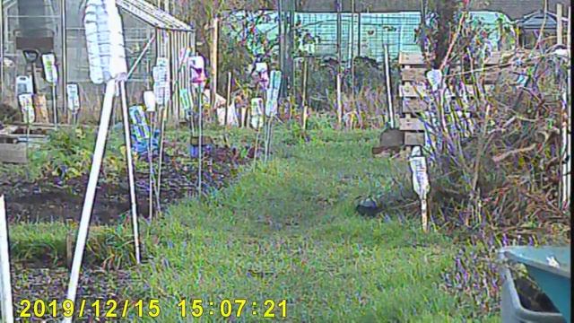 Eachine D-moni5 5.8Ghz 72CH 5 Inch 800*480 16:9 Mini FPV Monitor DVR Built-in Battery смотреть онлайн