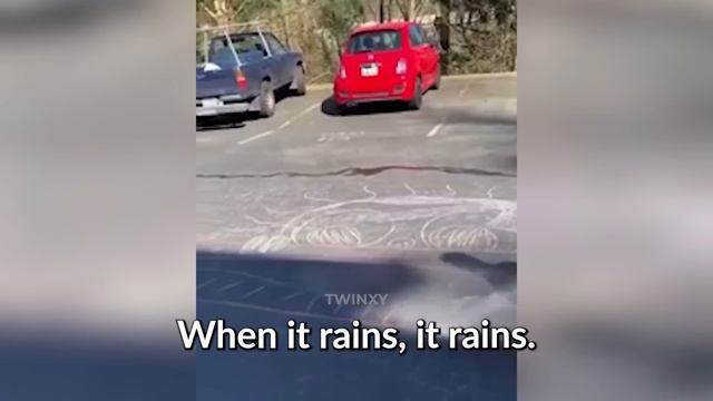 40 Minutes of Karens Vs Kids! смотреть онлайн