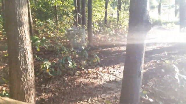 Озеро в ближнем Long Island смотреть онлайн