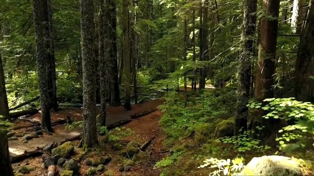Воспитываем умного ребёнка смотреть онлайн