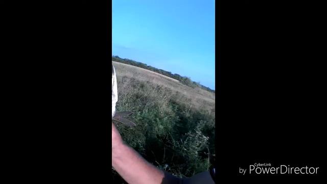 Моя сезонная рыбалка смотреть онлайн