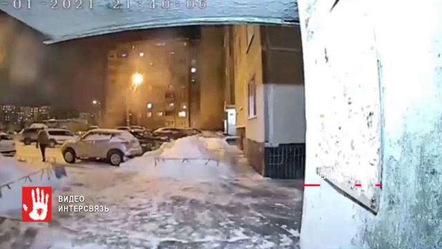 Нашлась предполагаемая хозяйка Шарика, который чуть насмерть не замерз возле магазина в Челябинске смотреть онлайн