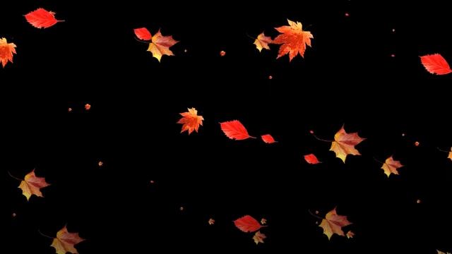Футаж Падающие осенние листья (03) HD смотреть онлайн