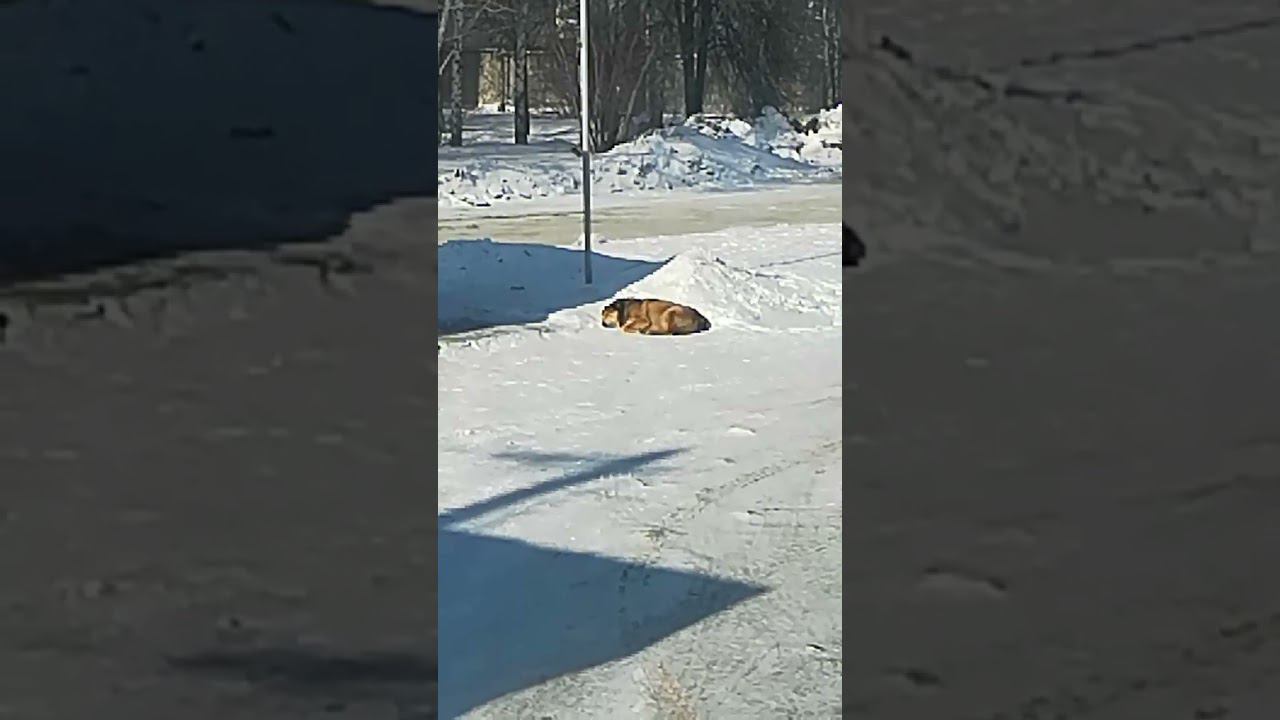 19 февраля 2024 г.