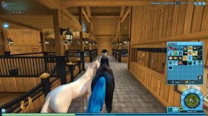 Общедоступные АККАУНТЫ в Star Stable | Лошади?
