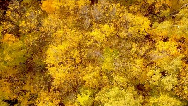 Музыка лечит сердце и сосуды? Успокаивающая музыка восстанавливает нервную систему,расслабляющая #4 смотреть онлайн