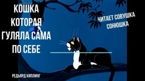Кошка которая гуляла сама по себе