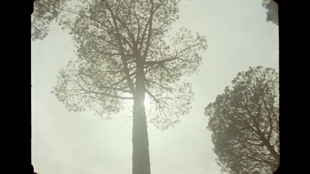 AOSV5 LTD | Flavio Pesenti смотреть онлайн