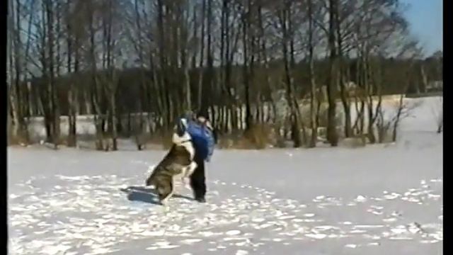 Алабай и дети смотреть онлайн