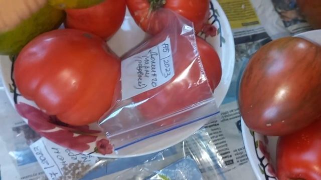 Коллекционные сорта томатов, выросли в теплице смотреть онлайн