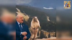 Лукашенко мем (подборка)