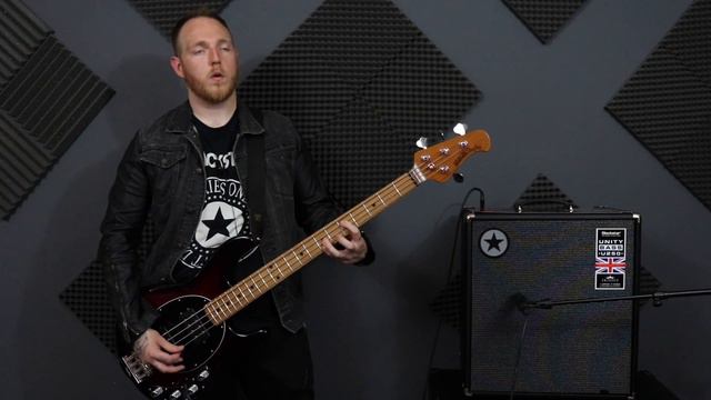Blackstar Unity 250 Pro Bass System Review! смотреть онлайн