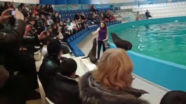 Baki Delfinariyasi .....25.02.2012........operator COSHQUN MMJ  ;)))