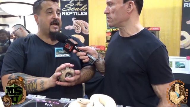 Tiger Lavender Albino Reticulated Python: REPTICON- Fort Myers- Part 1 смотреть онлайн