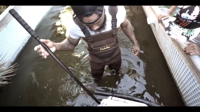 Catching Giant Piranhas With My Bare Hands In Florida! смотреть онлайн