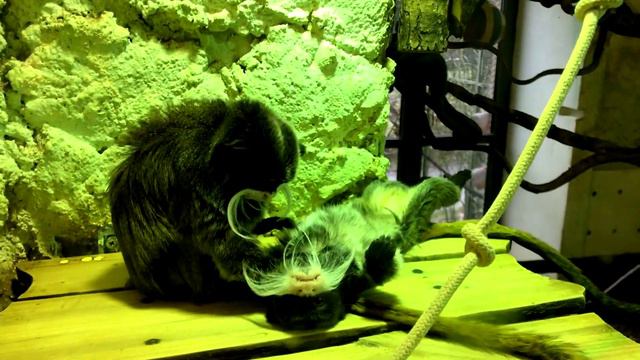 Где встретиться через 10 лет? смотреть онлайн